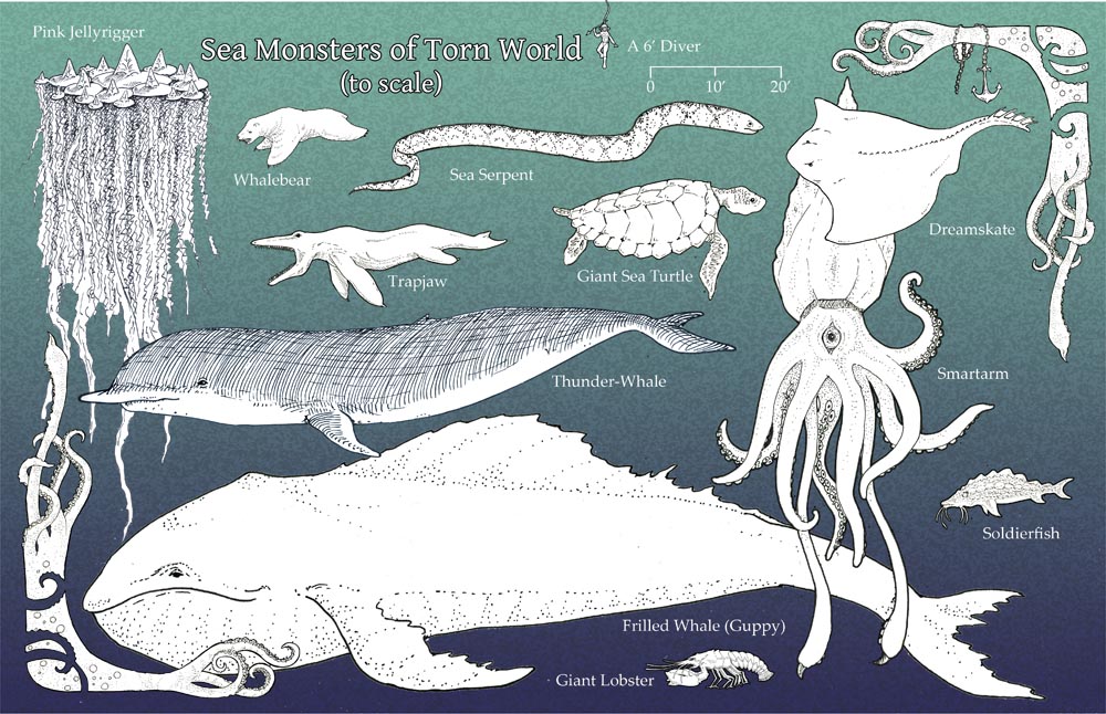 Whale Scale Chart